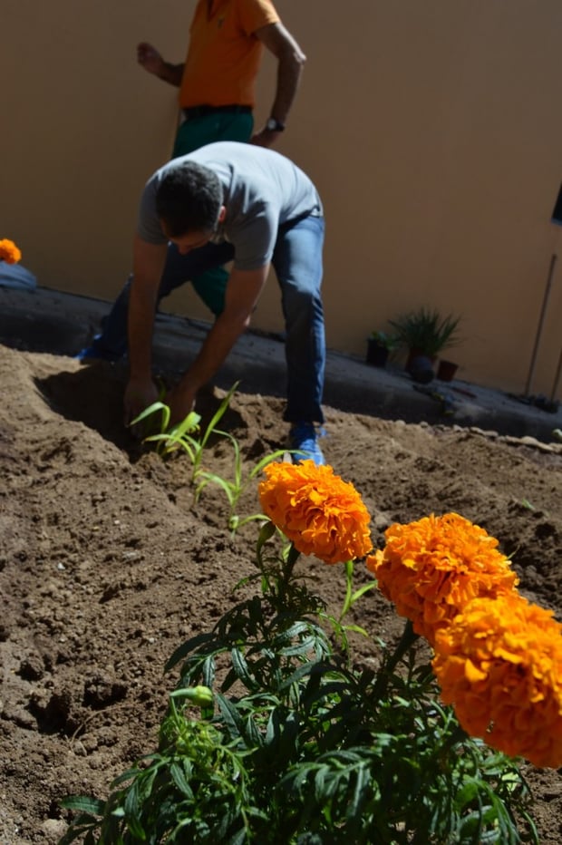 Sembrando plantitas