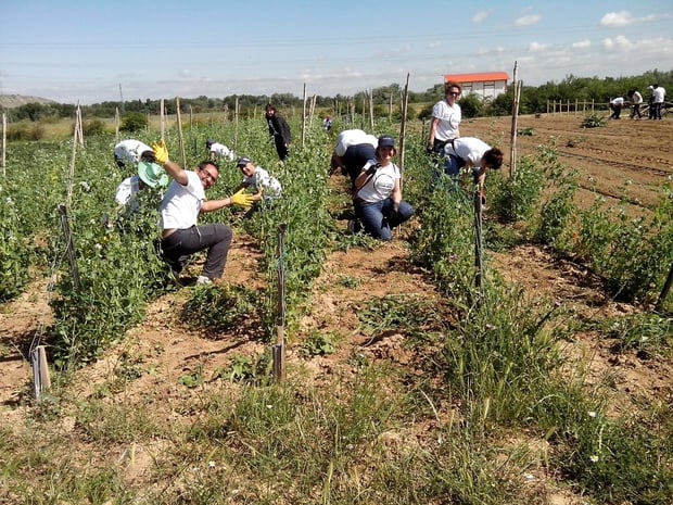 Give & Gain La Huerta de La Fundación