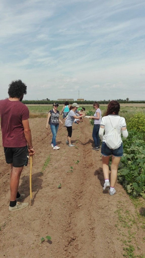 Plantación en familia