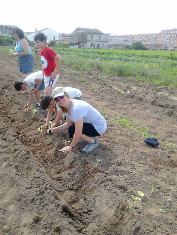 Plantación de 150 matitas