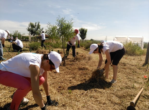 Actividad 1: Conociendo la huerta