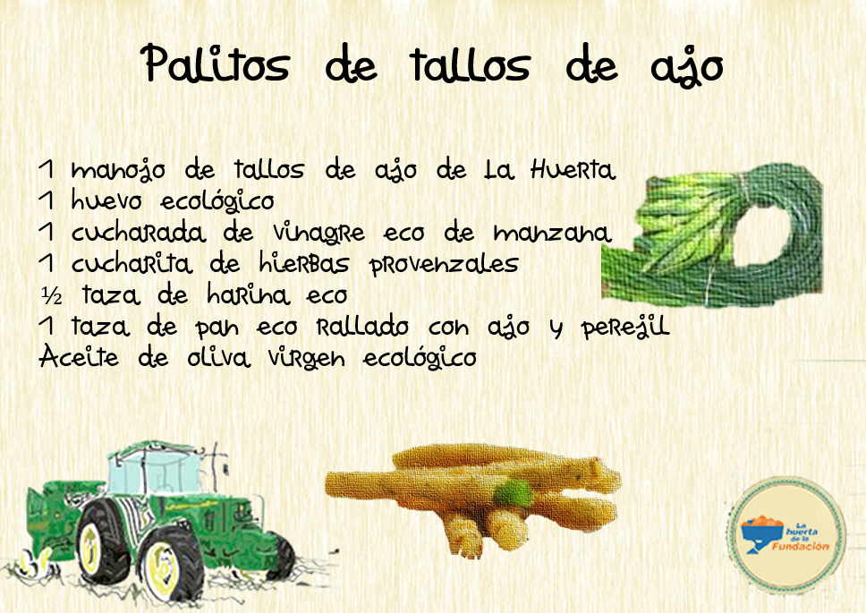 Receta ecológica. Palitos de tallos de ajo