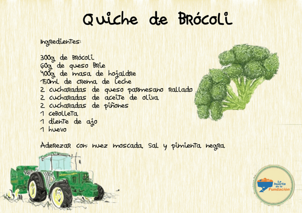 Quiche de brócoli (2)