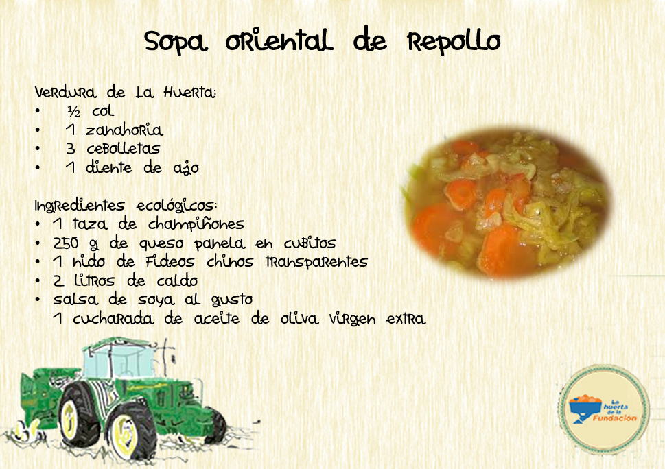 Sopa oriental de verduras ecológicas