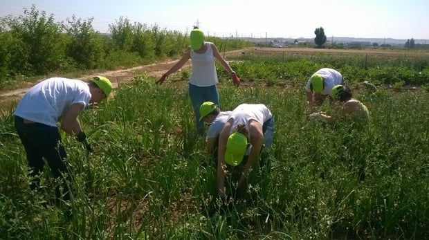 Voluntariado corporativo