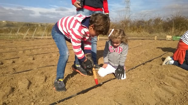 Haciendo huecos para plantar