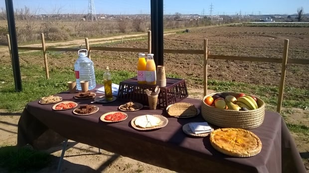 Almuerzo ecológico