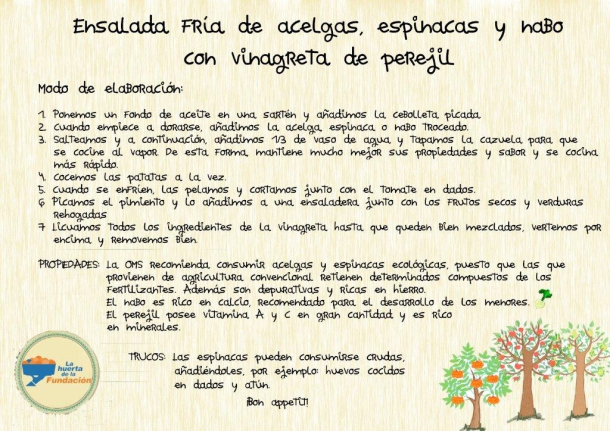 ensalada-fria-de-acelgas-t21