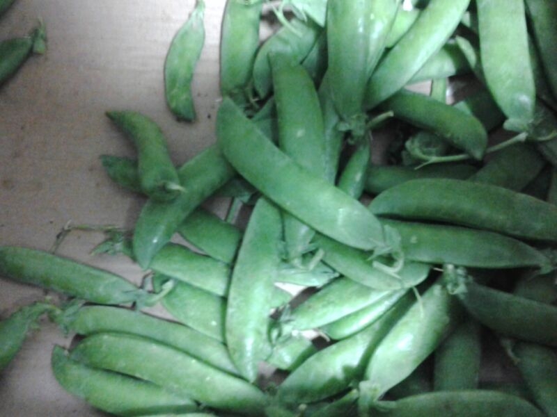 img-20130517-wa0005