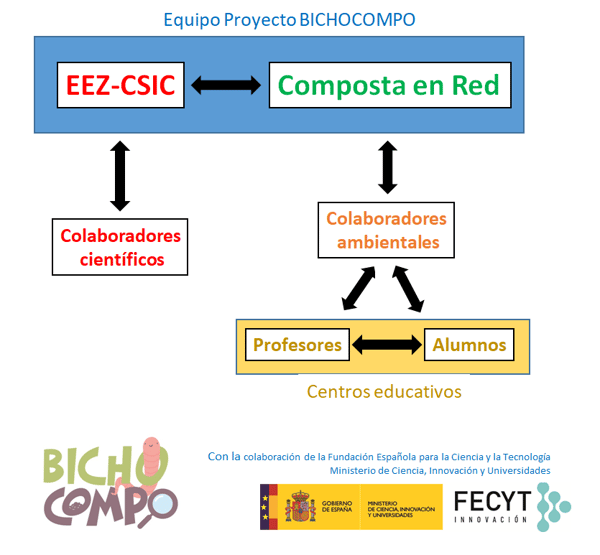 equipo-proyecyo-bichocompo-esquema