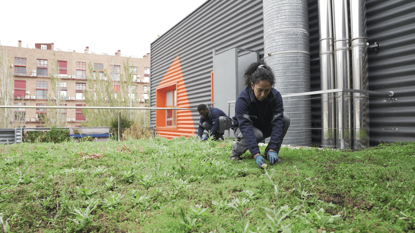 proyecto-de-cubierta-experimental-en-madrid