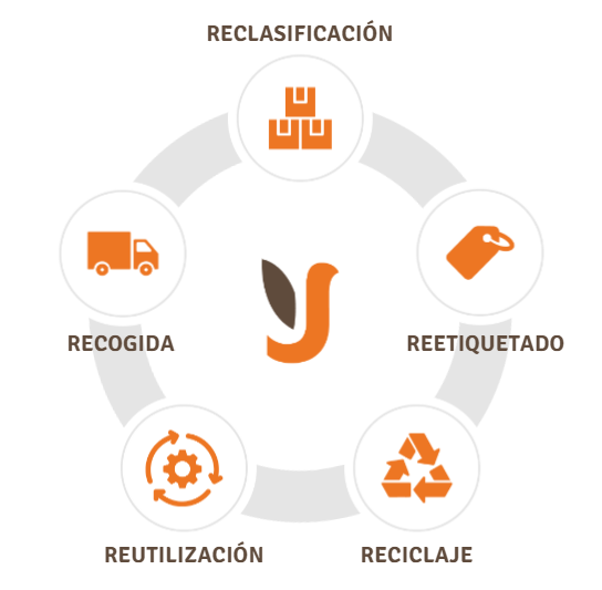que-es-la-economia-circular-inclusiva-y-como-aplicarla-a-la-empresa