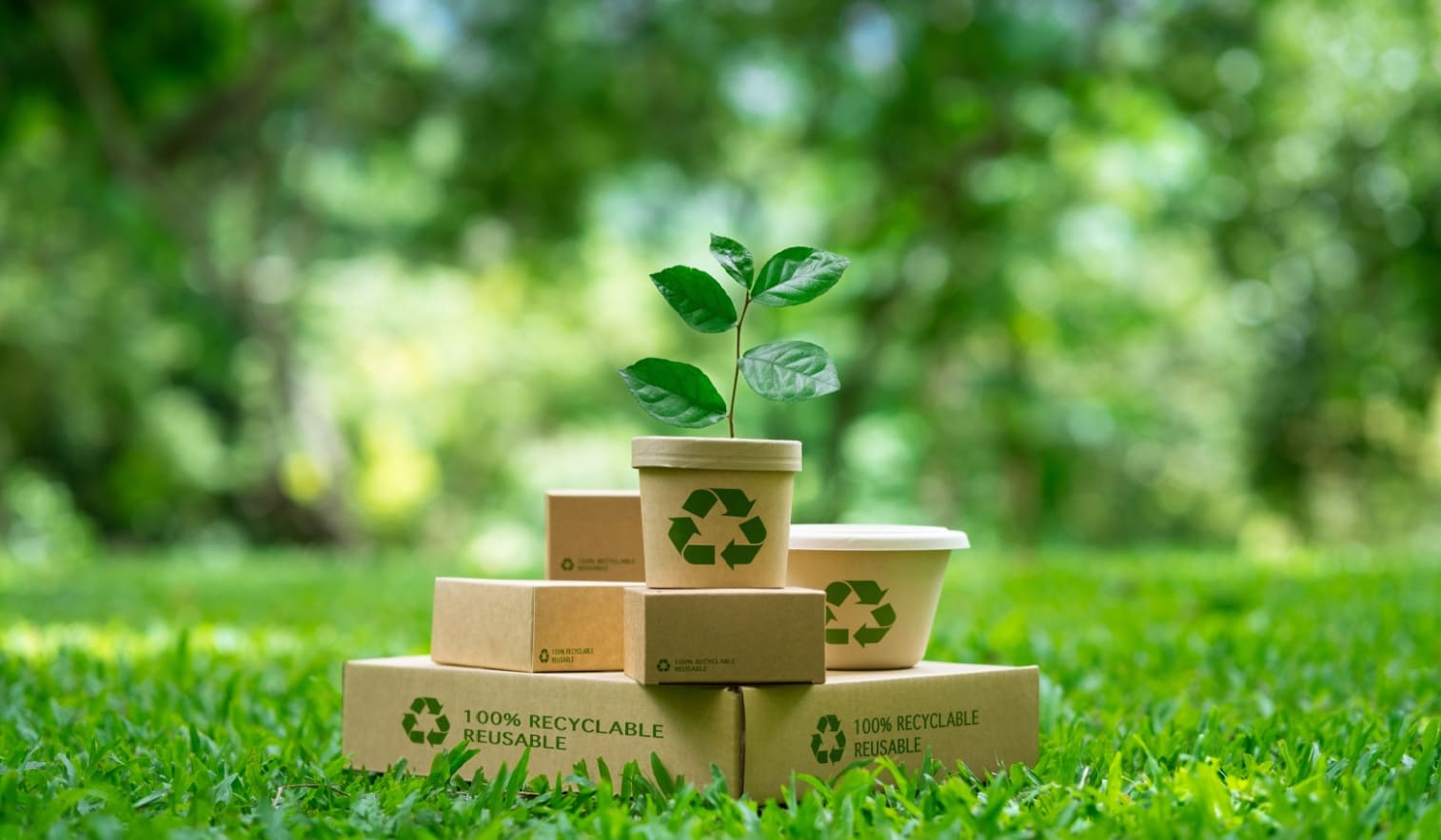 esta-tu-copacker-preparado-para-los-envases-reciclables-y-sostenibles-del-futuro